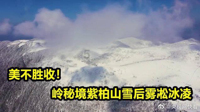 高中不让早恋,大学为何又单身呢?-专业问答交流平台